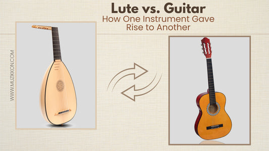 Lute vs. Guitar: How One Instrument Gave Rise to Another