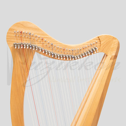 27 String Ard Ri Harp Ashwood