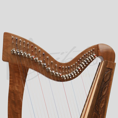 27 String Trinity Harp Walnut