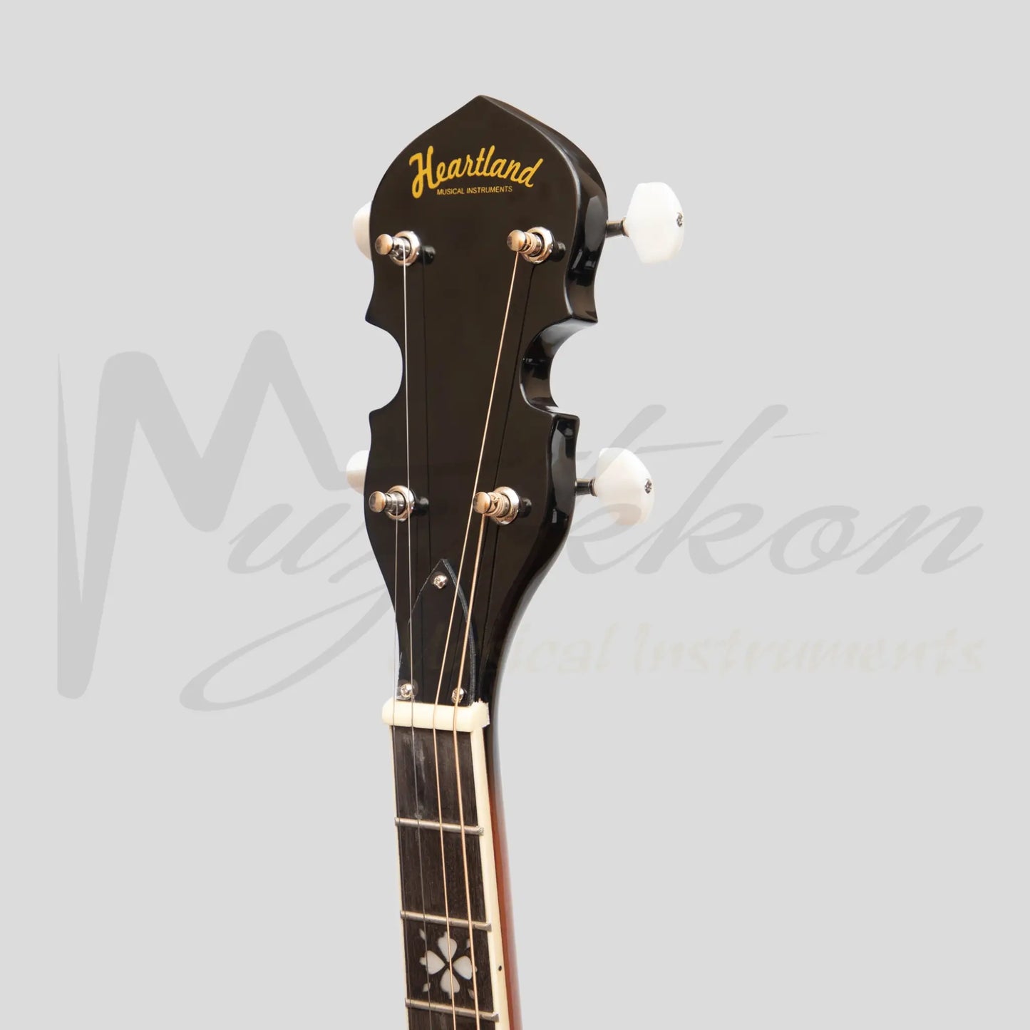 Heartland 4 String 17 Fret Irish Tenor Banjo Left Handed Player Series With Closed Solid Back