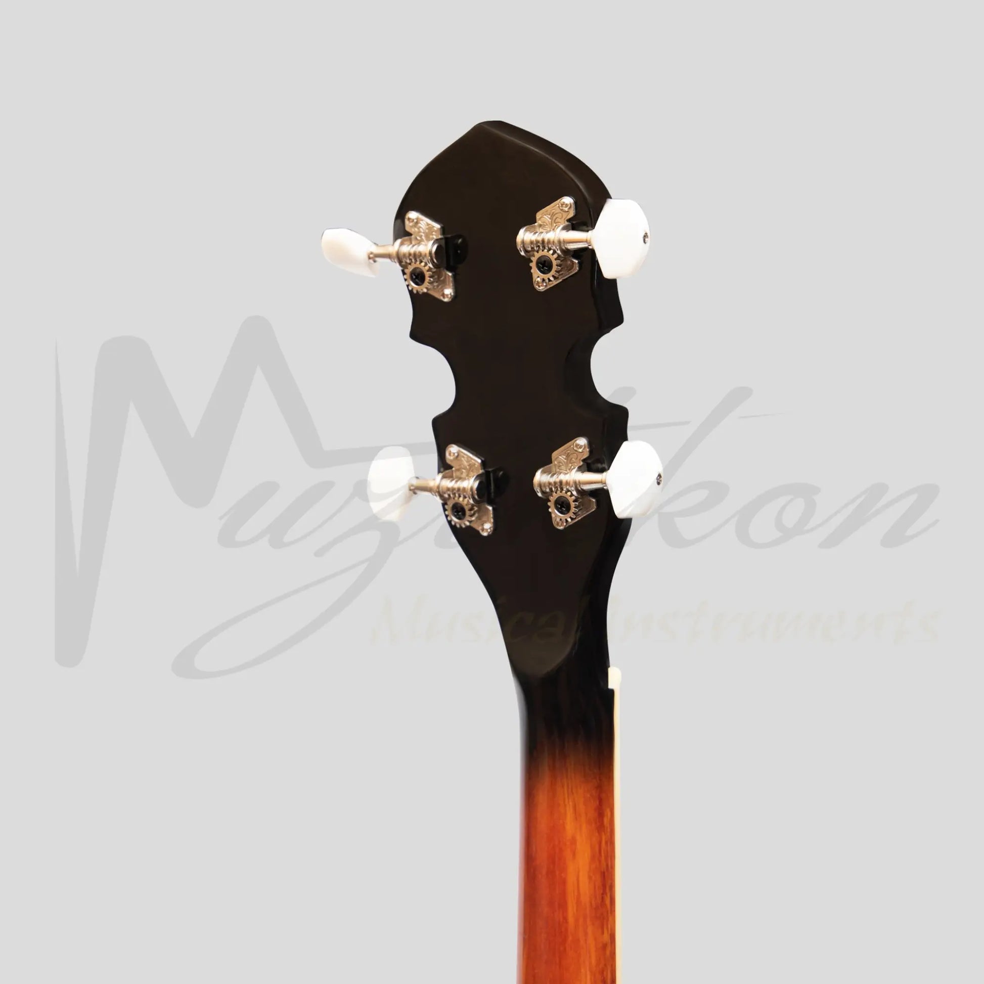 Heartland 4 String 19 Fret Irish Tenor Banjo Left Handed Player Series With Closed Solid Back