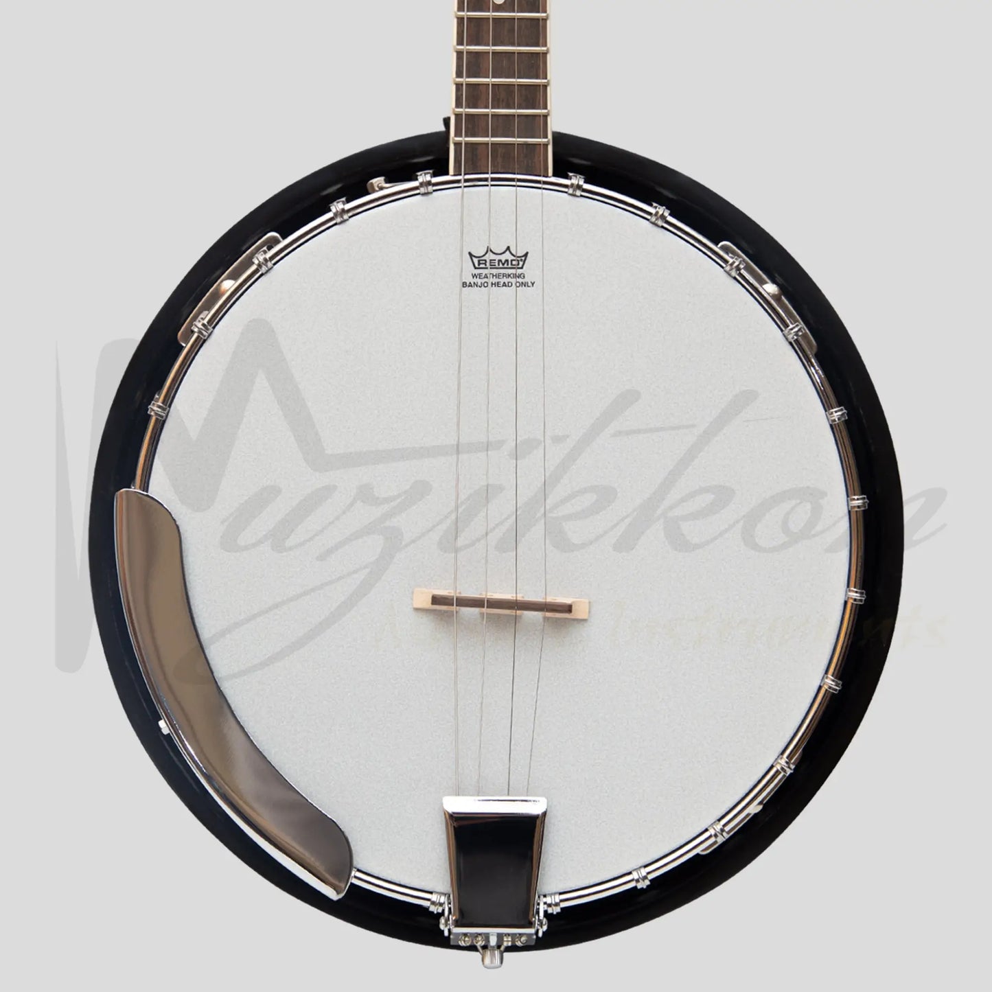 Heartland 4 String Banjo 19 Frets Irish Tenor 24 Bracket With Closed Solid Back