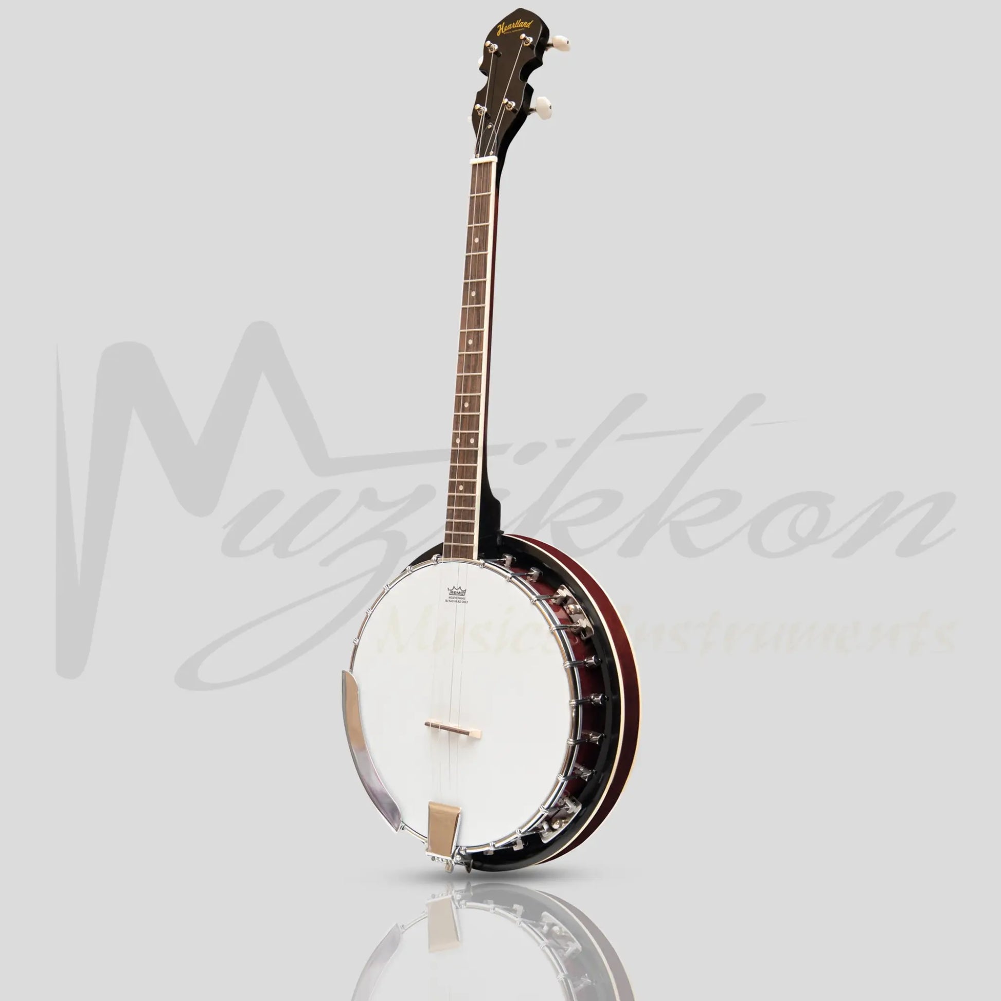 Heartland 4 String Banjo 19 Frets Irish Tenor 24 Bracket With Closed Solid Back