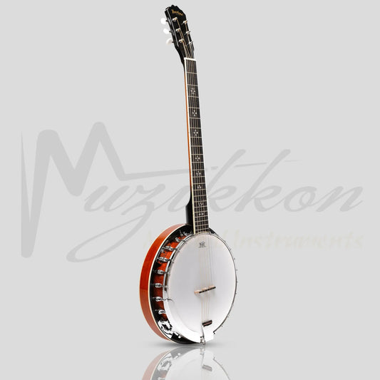 Heartland 6 String Irish Banjo Player Series 24 Bracket Closed Solid Back Sunburst Finish