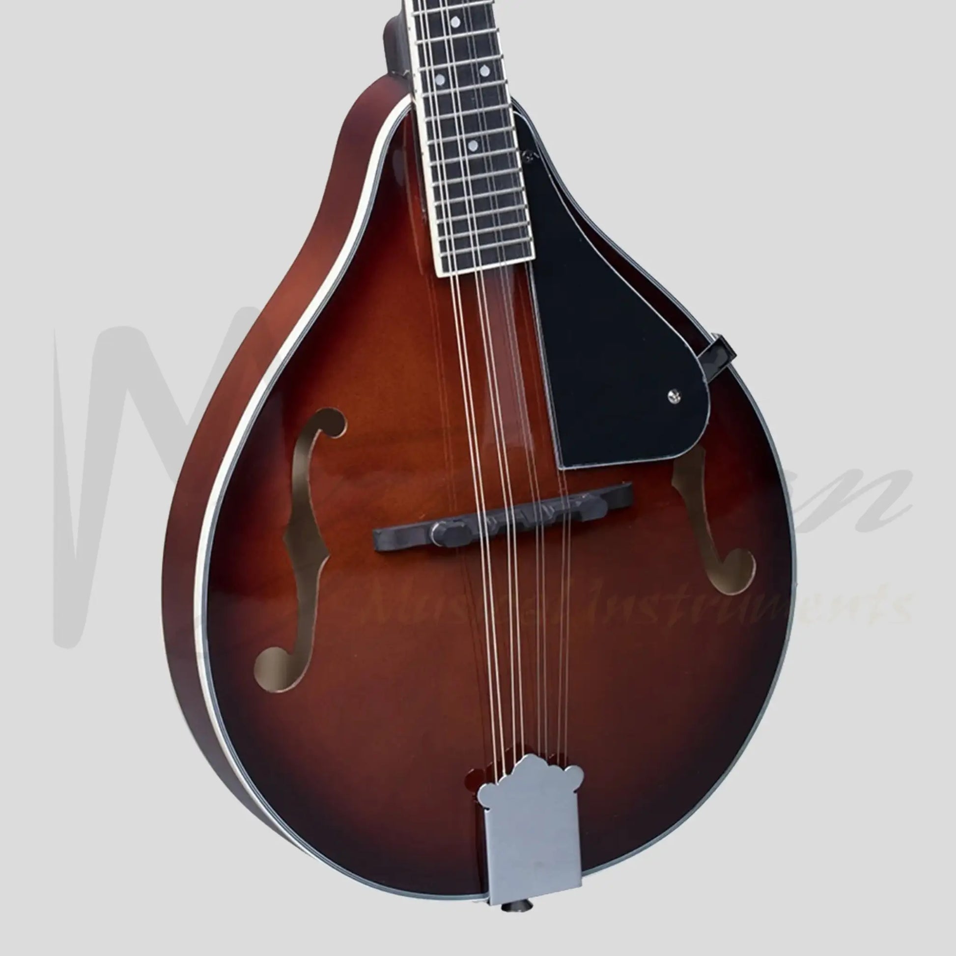 Heartland Mandolin Linden Acoustic Matt Finish