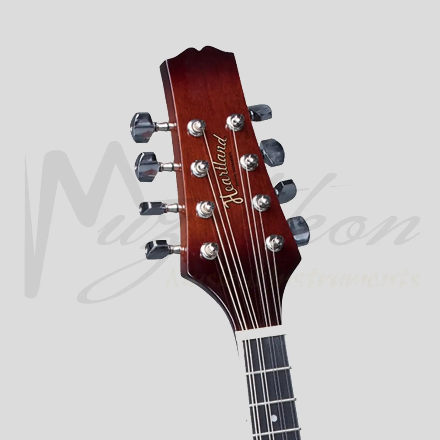 Heartland Mandolin Linden Acoustic Matt Finish