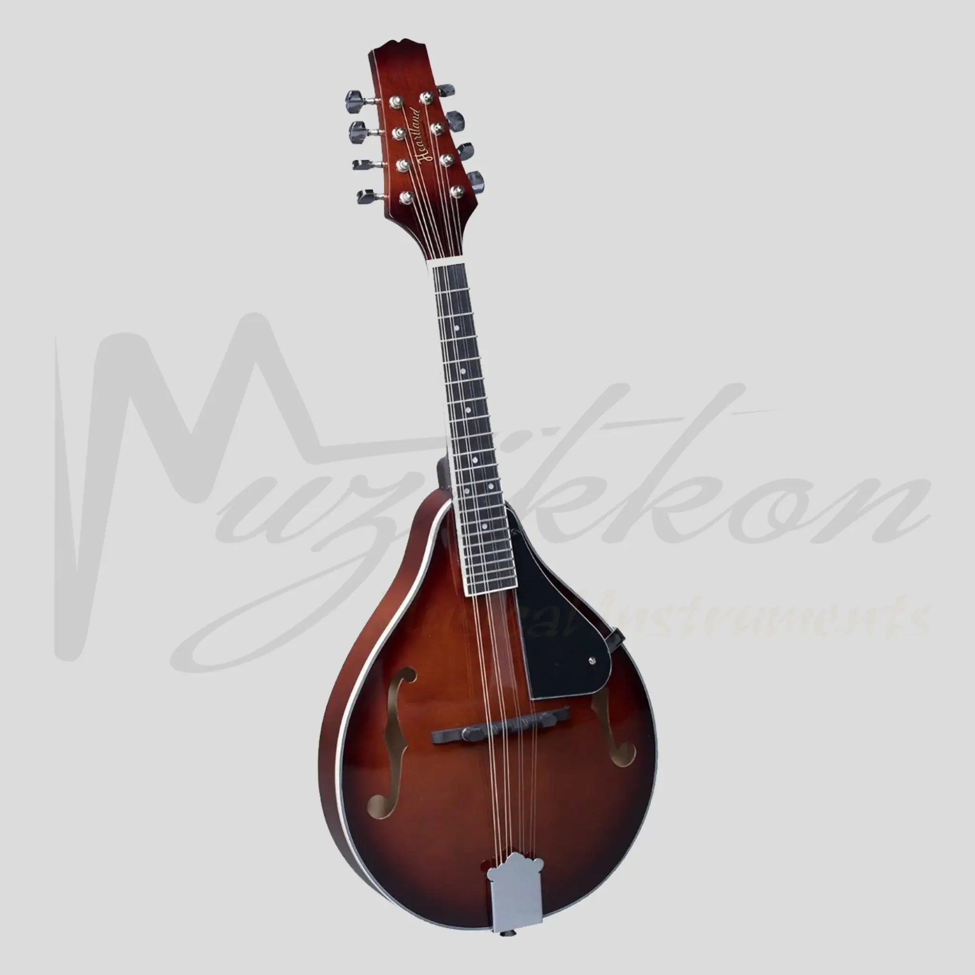 Heartland Mandolin Linden Acoustic Matt Finish