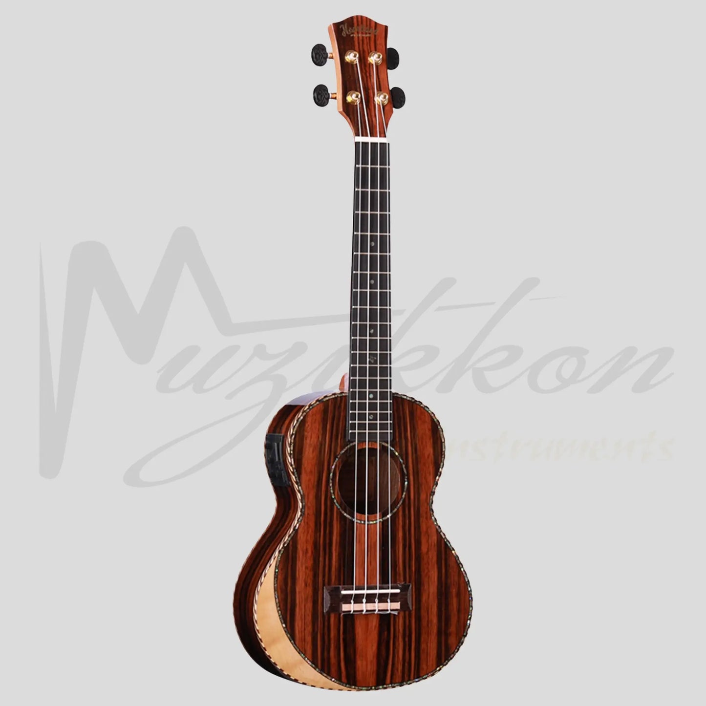 Heartland Tenor Ukulele Ebony With Eq