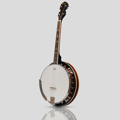 Heartland 4 String 17 Fret Irish Tenor Banjo Player Series with Closed Solid Back Sunburst Finish