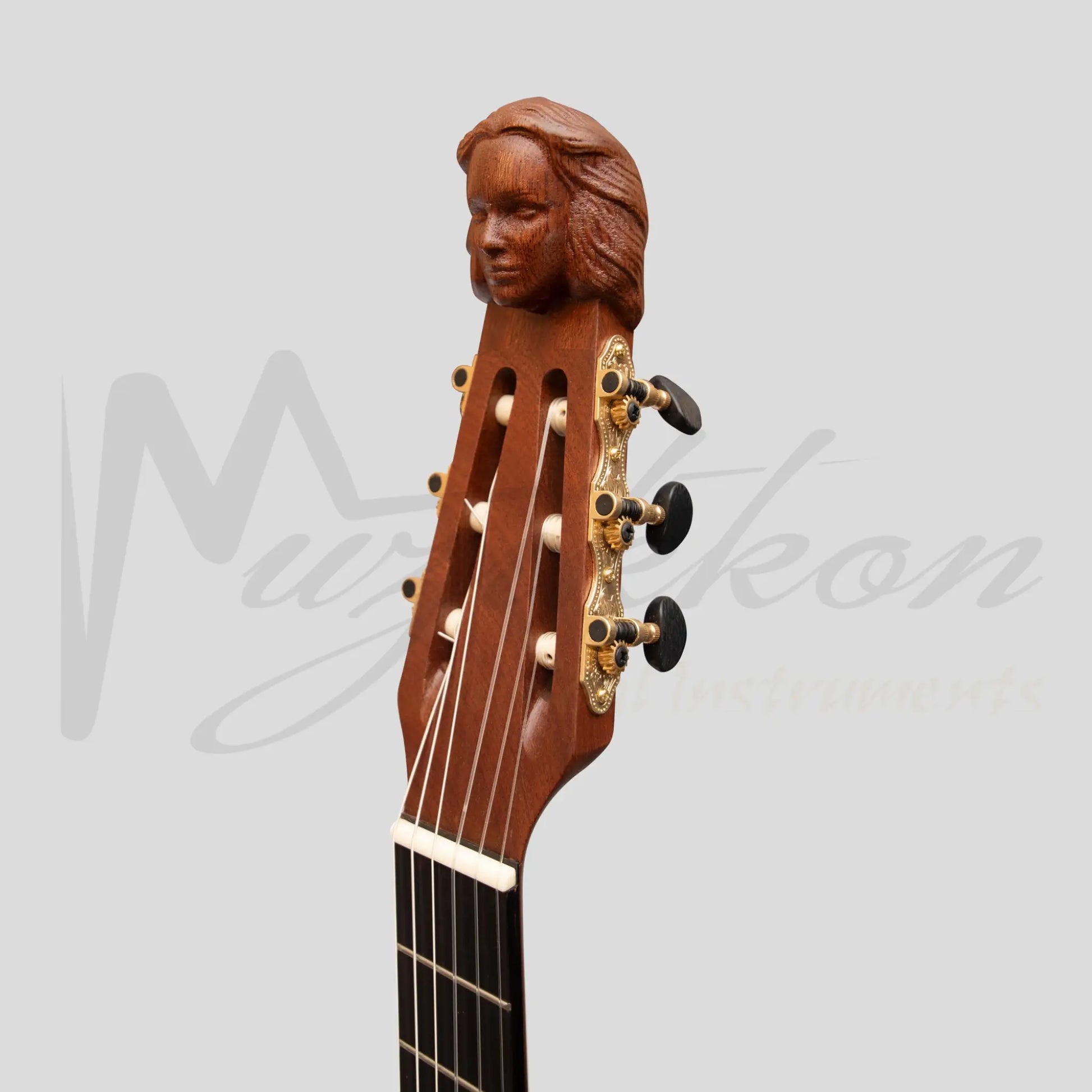 Lute Guitar 6 String Variegated Lacewood Rosewood