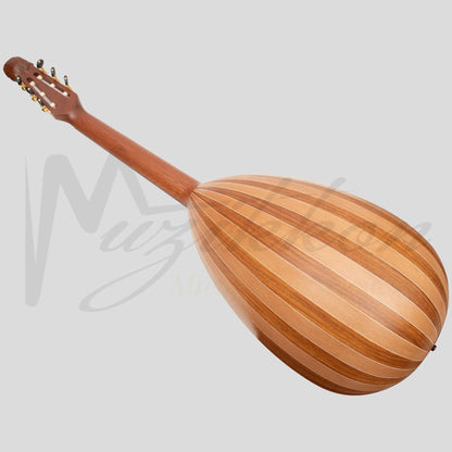 Lute Guitar 6 String Variegated Lacewood Rosewood