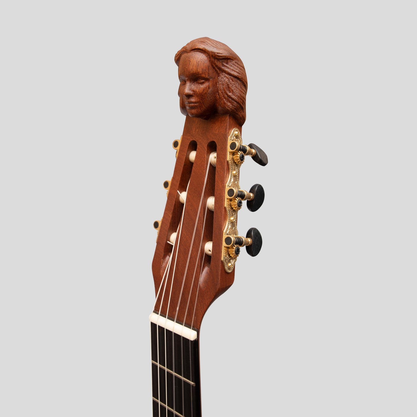 Lute Guitar, 6 String Variegated Lacewood Rosewood