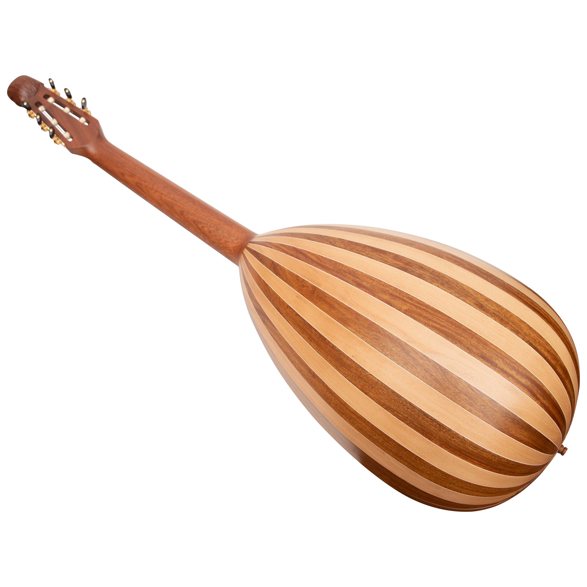 6 shop string lute