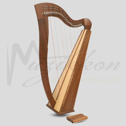 Mchugh Harp 29 Strings Walnut Wood Square Back