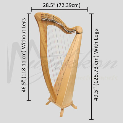 Mchugh Harp 34 Strings Ashwood Round Back