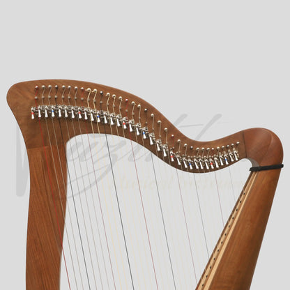 Mchugh Harp 34 Strings Walnut Wood Round Back