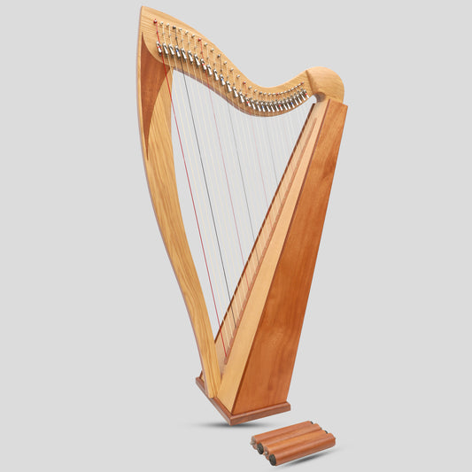 McHugh Atlas Harp 29 String Ash and Mahogany Squareback