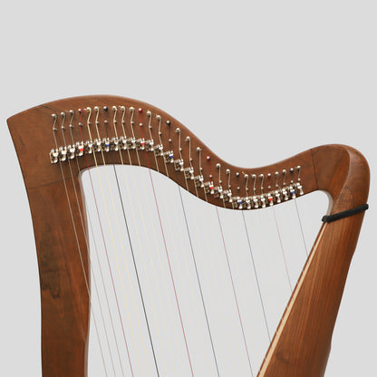 McHugh Harp, 29 Strings Round Back Walnut