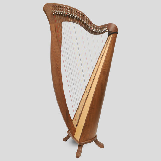 McHugh Harp 34 Strings Walnut Wood Round back