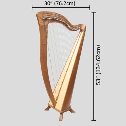 McHugh Harp 38 Corde Legno di Noce Round Back