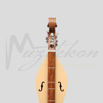 Mountain Dulcimer 4 String F-Hole Rosewood With Nickel Finish Hardware