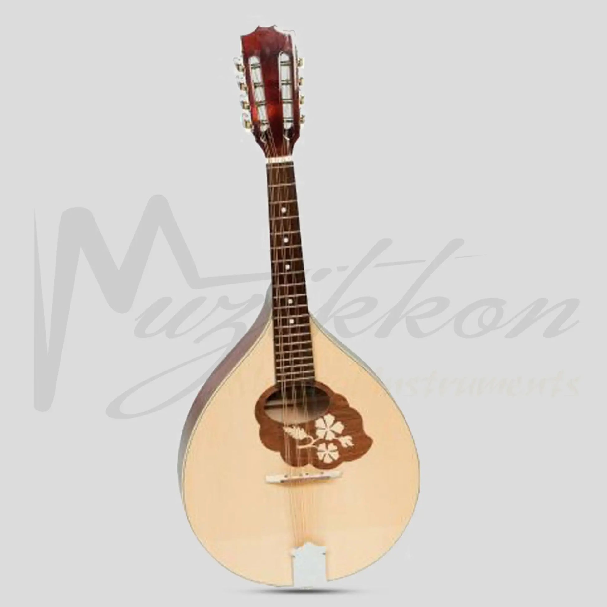 Muzikkon Mandola