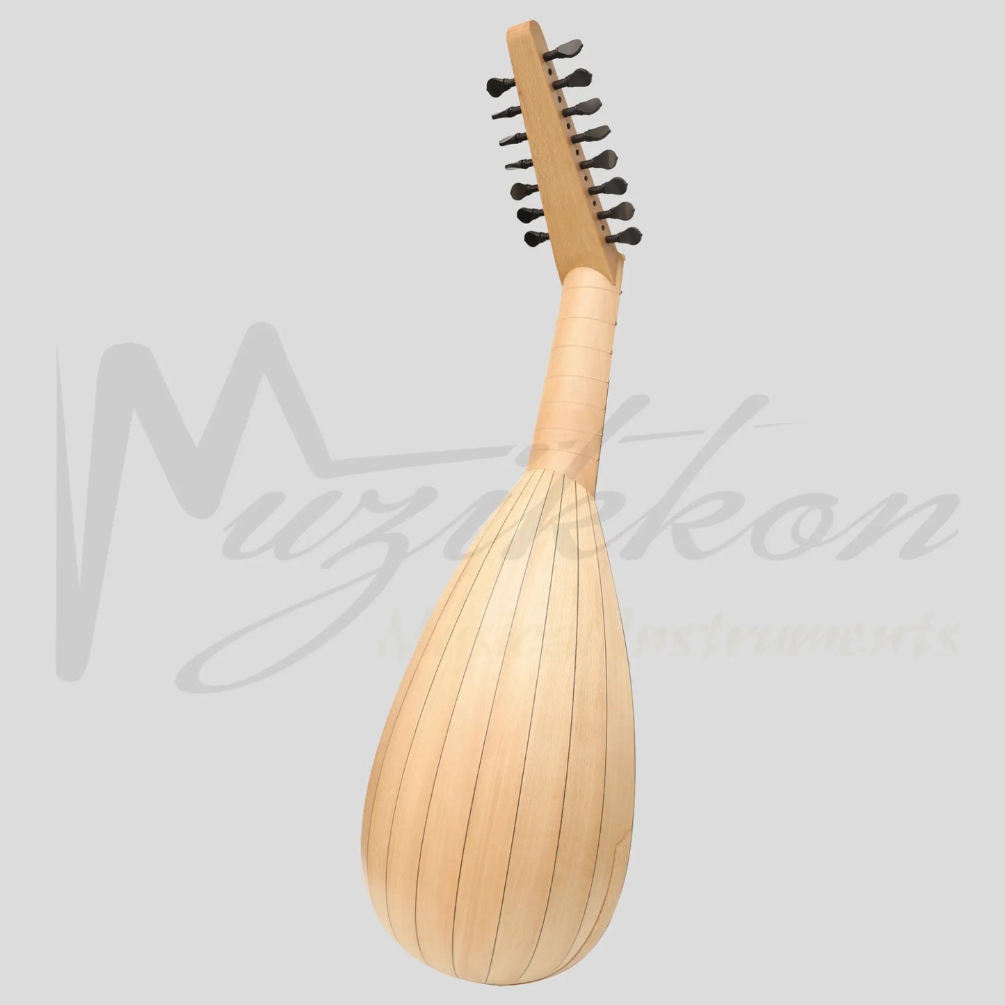 Muzikkon Travel Lute 8 Course Right Hand