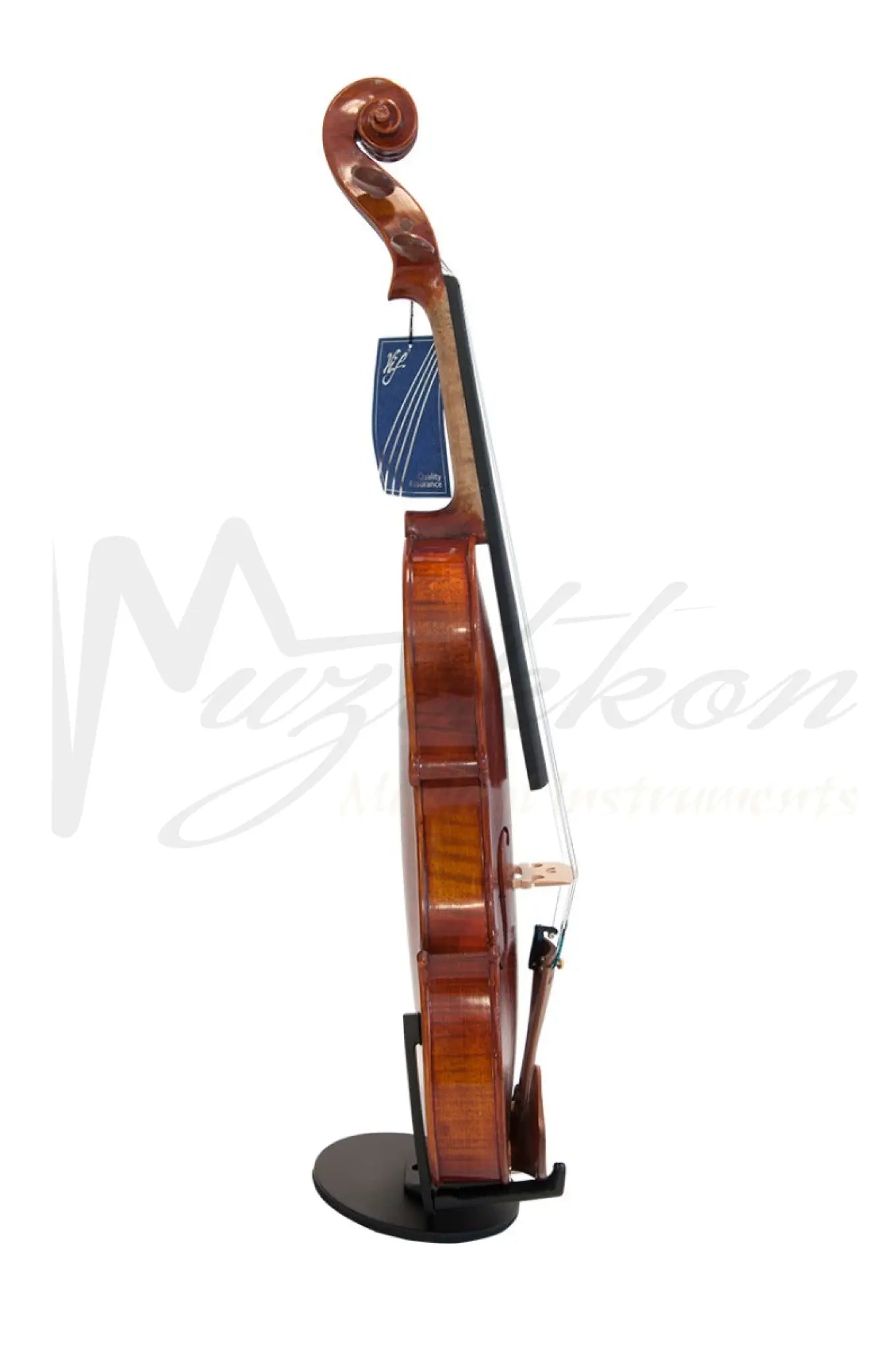 Violin Bv300 - Antonius Stradivarius Model